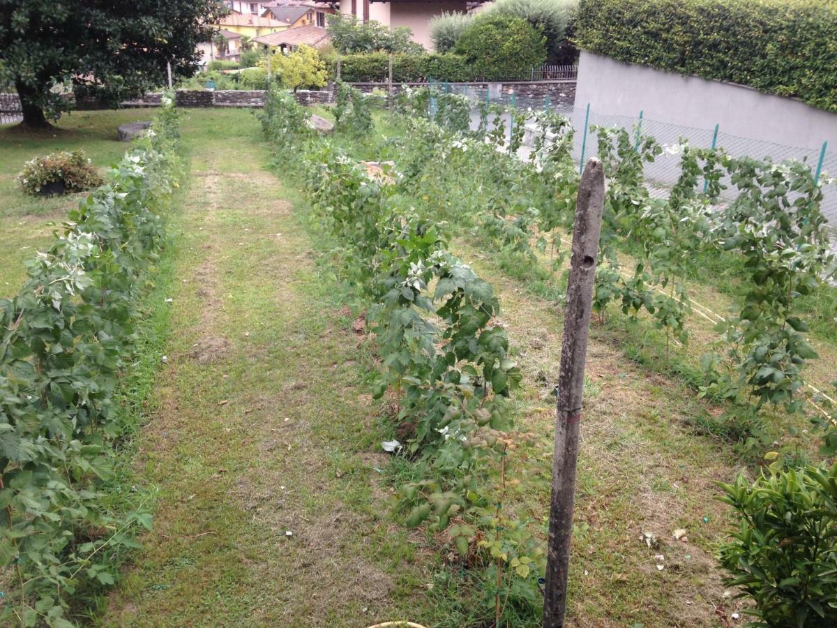 Agriturismo Badalone Domaso Luaran gambar